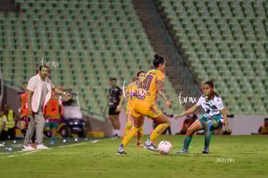 Santos vs Tigres femenil