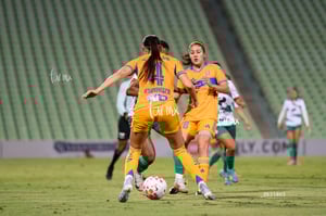 Santos vs Tigres femenil