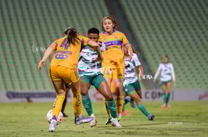 Santos vs Tigres femenil