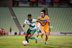 Santos vs Tigres femenil
