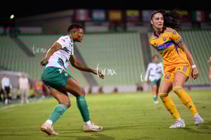 Santos vs Tigres femenil