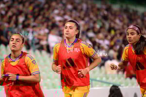 Santos vs Tigres femenil