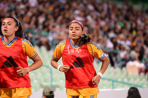 Santos vs Tigres femenil