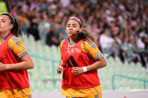 Santos vs Tigres femenil