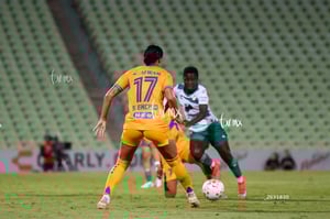 Santos vs Tigres femenil