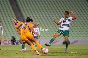 Santos vs Tigres femenil