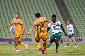 Santos vs Tigres femenil