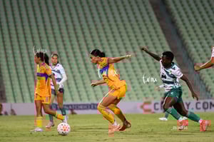 Santos vs Tigres femenil