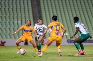 Santos vs Tigres femenil