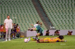Santos vs Tigres femenil