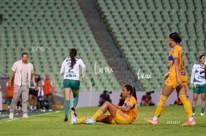 Santos vs Tigres femenil
