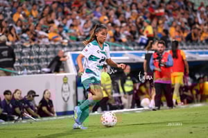 Santos vs Tigres femenil