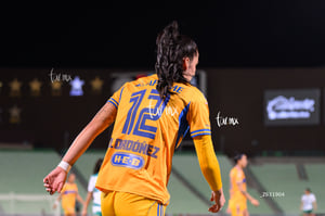 Santos vs Tigres femenil
