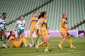 Santos vs Tigres femenil