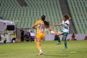 Santos vs Tigres femenil