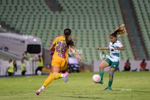Santos vs Tigres femenil