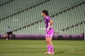 Santos vs Tigres femenil