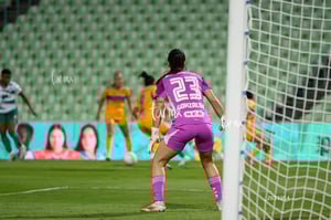 Santos vs Tigres femenil
