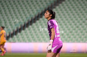 Santos vs Tigres femenil