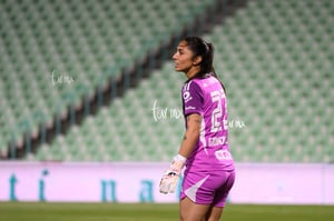 Santos vs Tigres femenil