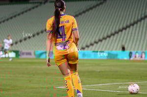Santos vs Tigres femenil