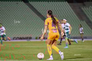 Santos vs Tigres femenil