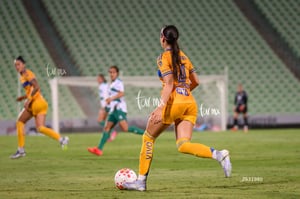 Santos vs Tigres femenil