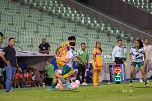Santos vs Tigres femenil