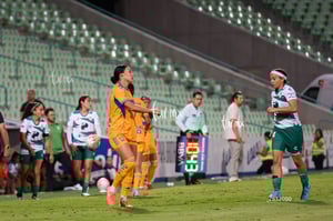 Santos vs Tigres femenil