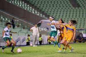Santos vs Tigres femenil