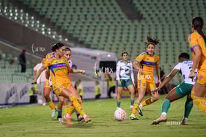 Santos vs Tigres femenil