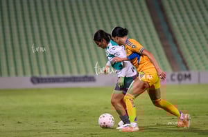 Santos vs Tigres femenil