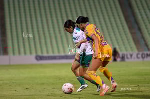 Santos vs Tigres femenil