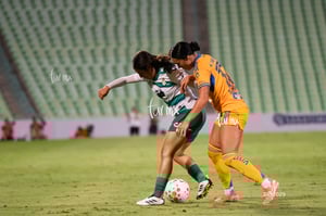Santos vs Tigres femenil