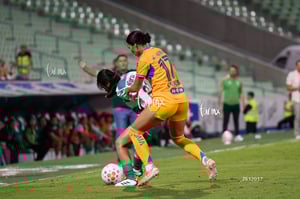 Santos vs Tigres femenil