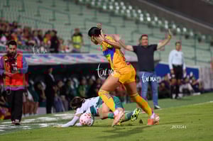 Santos vs Tigres femenil