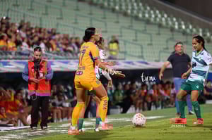 Santos vs Tigres femenil