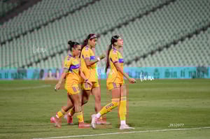 Santos vs Tigres femenil