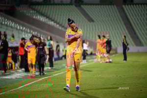 Santos vs Tigres femenil