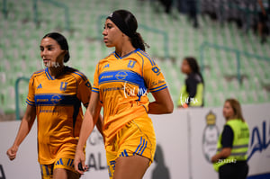 Santos vs Tigres femenil