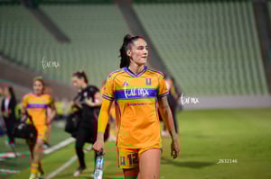 Santos vs Tigres femenil