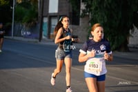 halcones