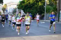 halcones