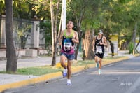 halcones