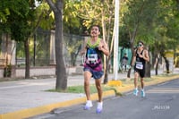 halcones