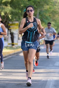 halcones