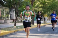tortugas