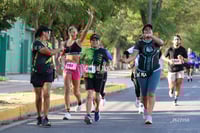 halcones