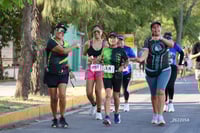 halcones