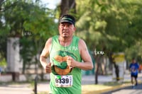 tortugas